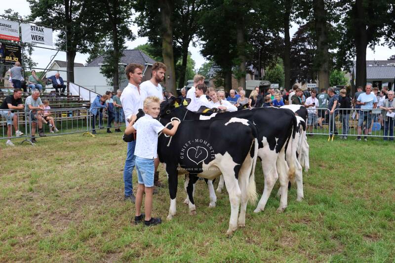 4t9a8116_resultaat-standard.jpg