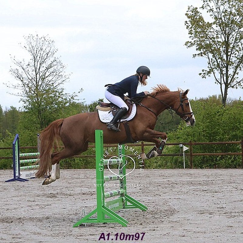 4t9a8117_resultaat-bordermaker-standard.jpg