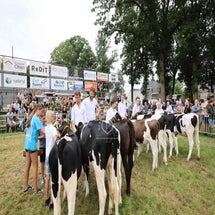4t9a8118_resultaat-standard.jpg
