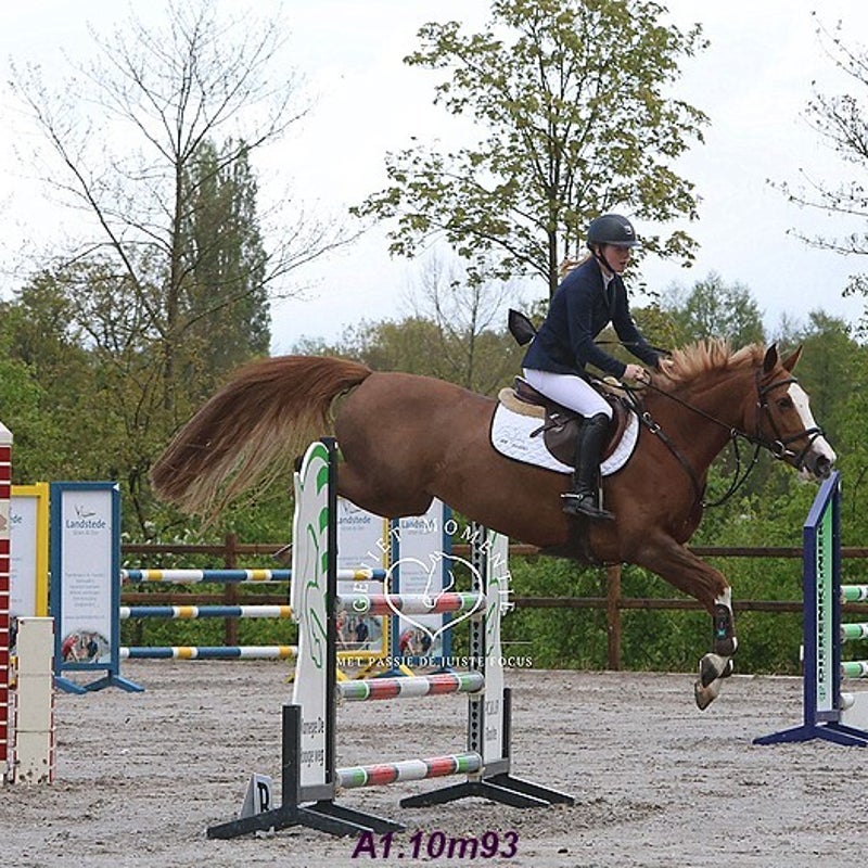 4t9a8124_resultaat-bordermaker-standard.jpg