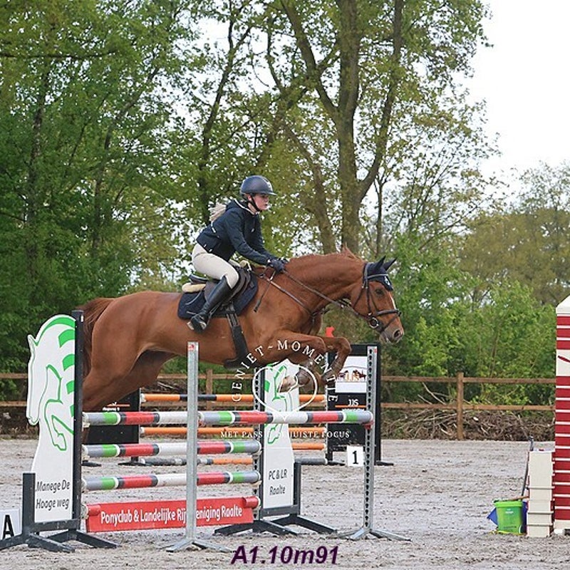 4t9a8130_resultaat-bordermaker-standard.jpg