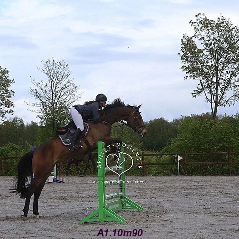 4t9a8133_resultaat-bordermaker-standard.jpg
