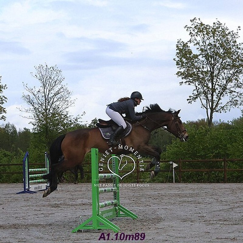 4t9a8134_resultaat-bordermaker-standard.jpg