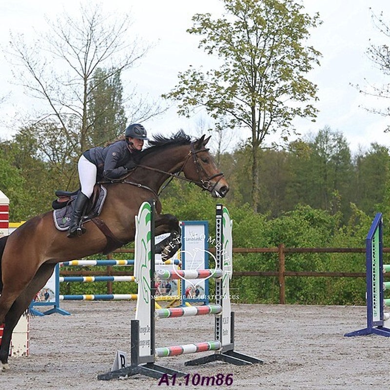 4t9a8139_resultaat-bordermaker-standard.jpg