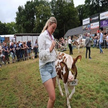 4t9a8144_resultaat-standard.jpg