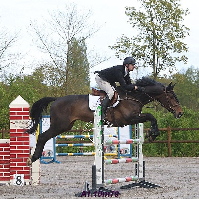 4t9a8147_resultaat-bordermaker-standard.jpg