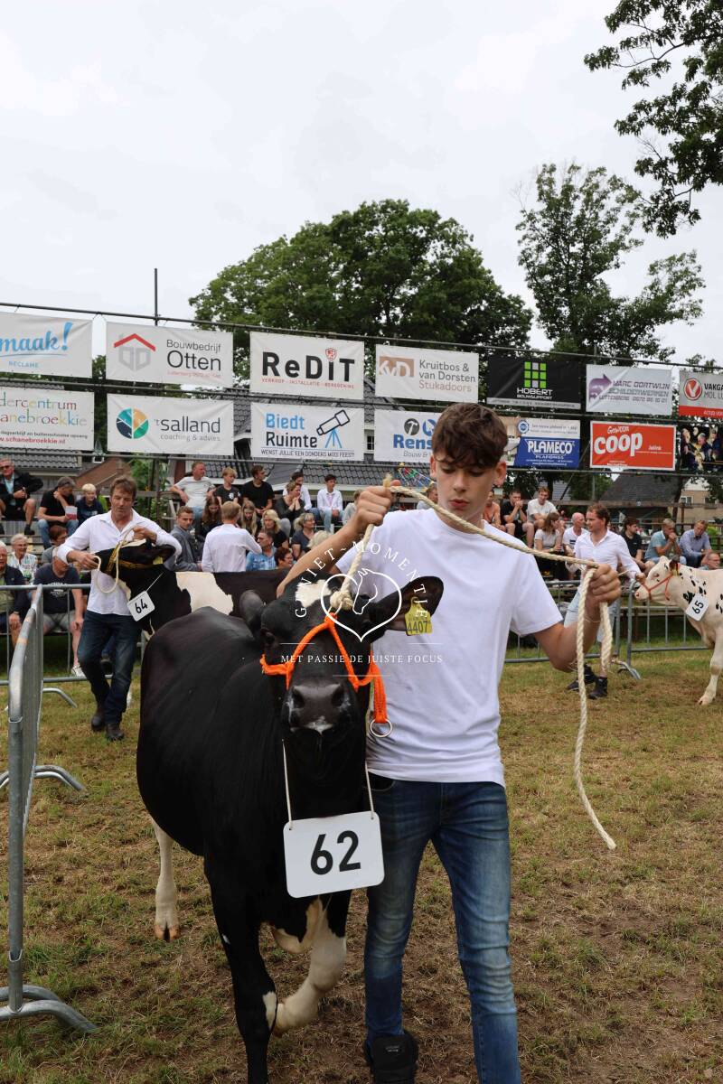4t9a8153_resultaat-standard.jpg