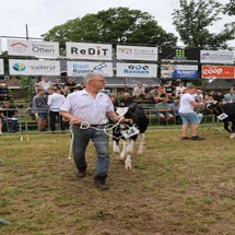4t9a8155_resultaat-standard.jpg