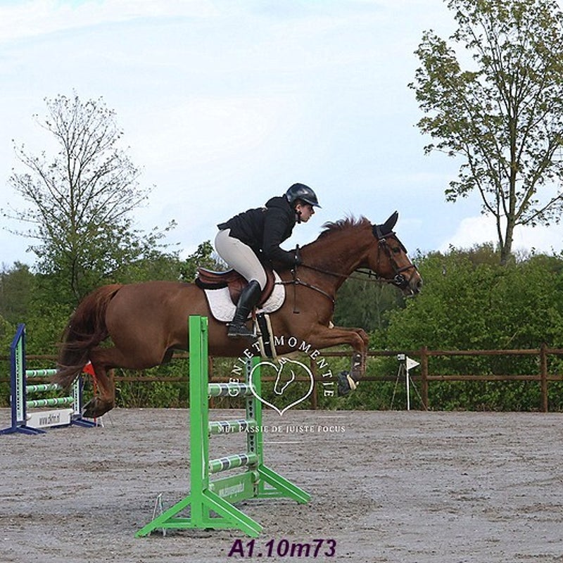 4t9a8156_resultaat-bordermaker-standard.jpg