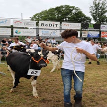4t9a8158_resultaat-standard.jpg