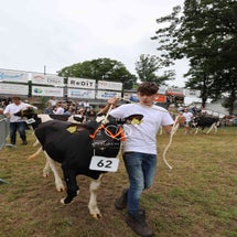 4t9a8159_resultaat-standard.jpg