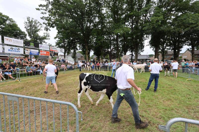 4t9a8161_resultaat-standard.jpg