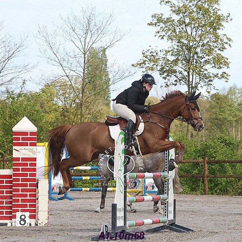 4t9a8162_resultaat-bordermaker-standard.jpg