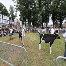 4t9a8162_resultaat-standard.jpg