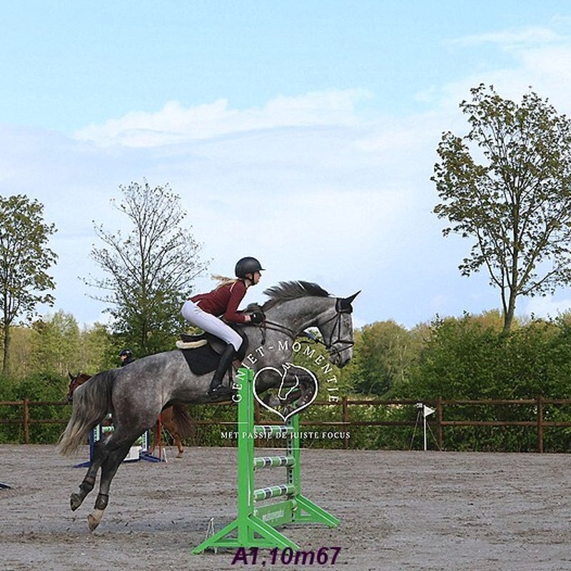 4t9a8163_resultaat-bordermaker-standard.jpg