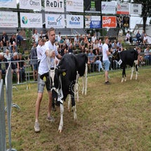 4t9a8163_resultaat-standard.jpg