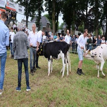 4t9a8164_resultaat-standard.jpg