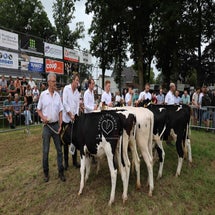 4t9a8165_resultaat-standard.jpg