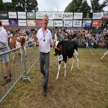 4t9a8172_resultaat-standard.jpg