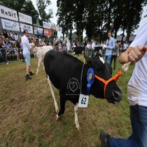 4t9a8176_resultaat-standard.jpg
