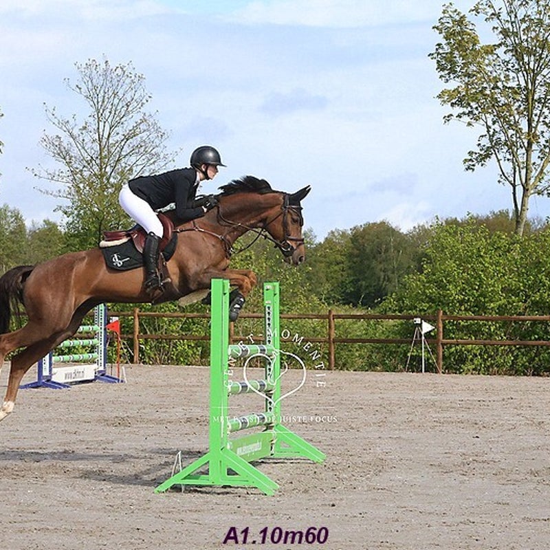 4t9a8179_resultaat-bordermaker-standard.jpg