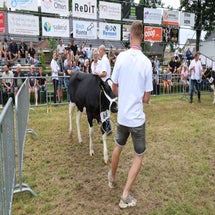 4t9a8179_resultaat-standard.jpg