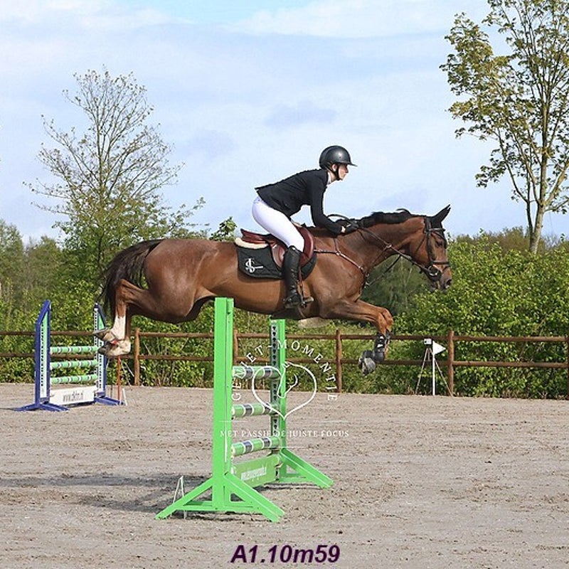 4t9a8180_resultaat-bordermaker-standard.jpg