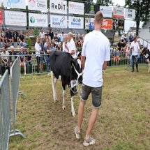 4t9a8180_resultaat-standard.jpg