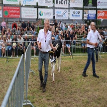 4t9a8181_resultaat-standard.jpg