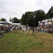 4t9a8183_resultaat-standard.jpg