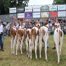 4t9a8194_resultaat-standard.jpg