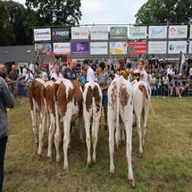 4t9a8195_resultaat-standard.jpg