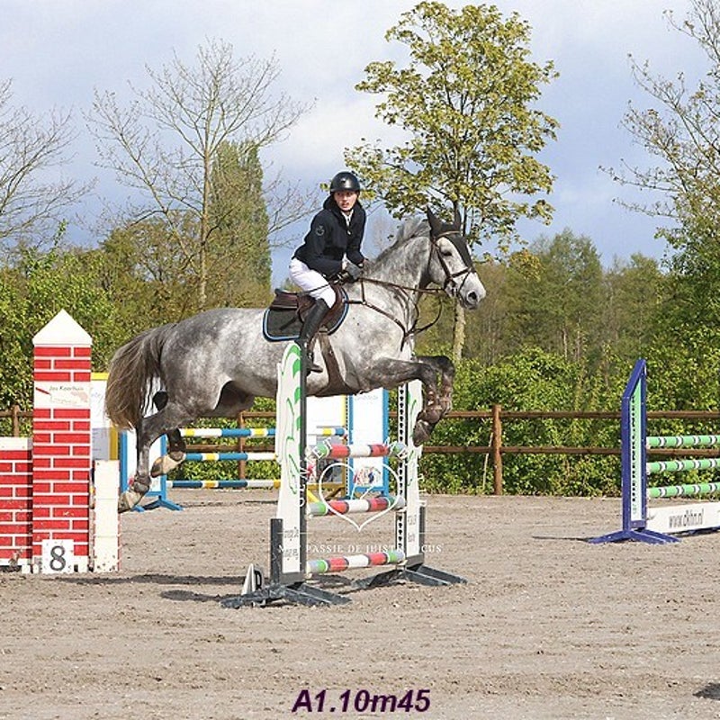 4t9a8198_resultaat-bordermaker-standard.jpg