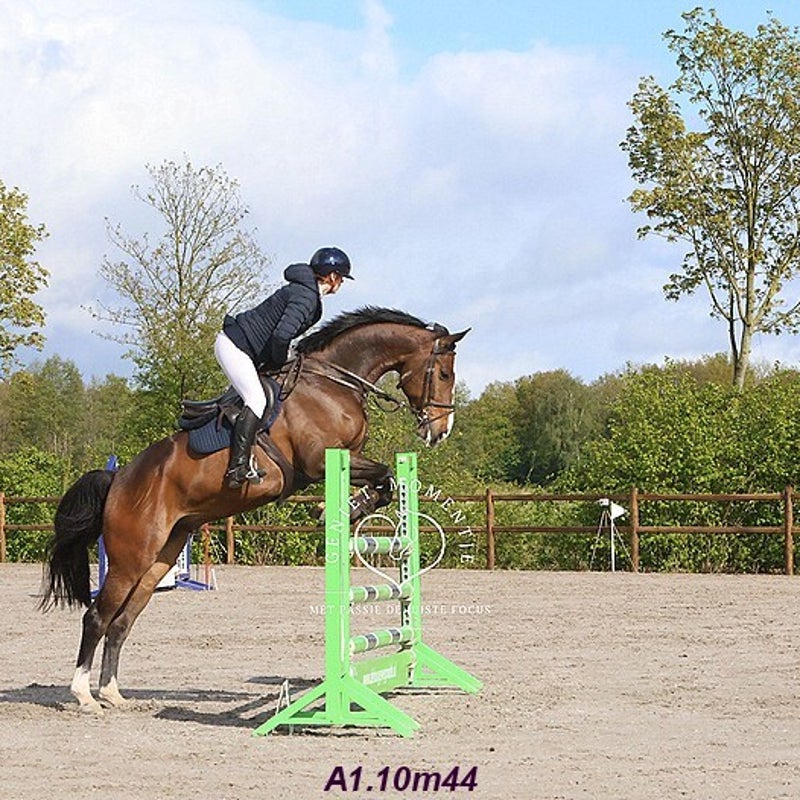 4t9a8200_resultaat-bordermaker-standard.jpg