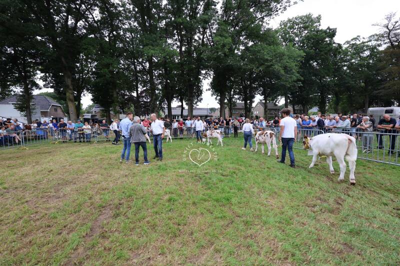 4t9a8207_resultaat-standard.jpg