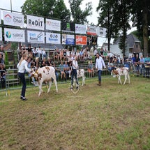 4t9a8208_resultaat-standard.jpg