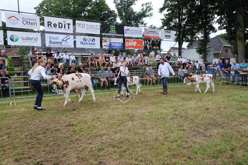 4t9a8208_resultaat-standard.jpg