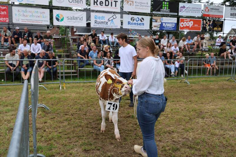4t9a8209_resultaat-standard.jpg