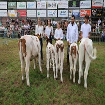 4t9a8212_resultaat-standard.jpg