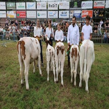 4t9a8213_resultaat-standard.jpg