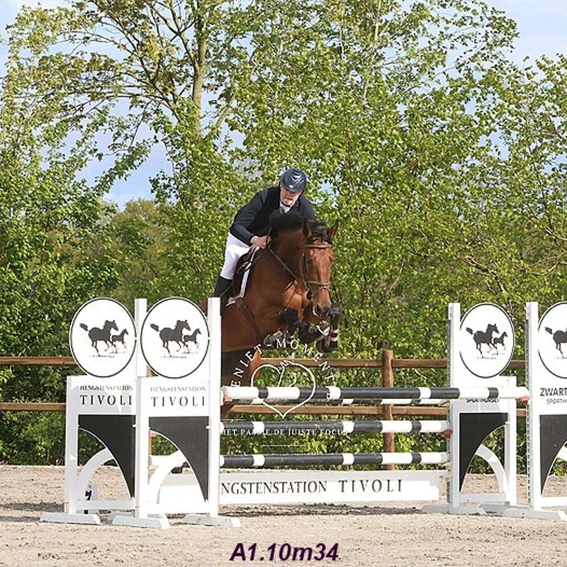 4t9a8216_resultaat-bordermaker-standard.jpg