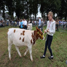 4t9a8216_resultaat-standard.jpg