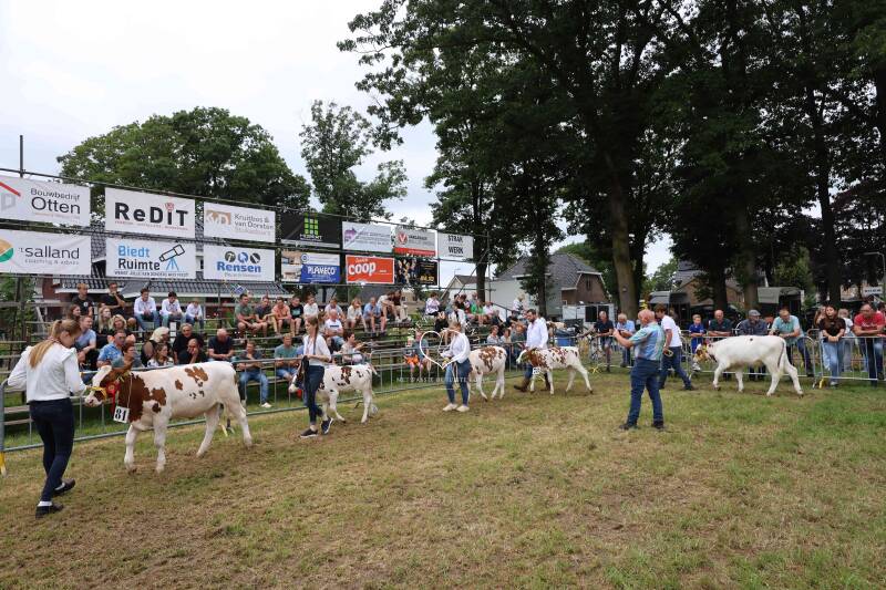 4t9a8219_resultaat-standard.jpg