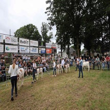 4t9a8220_resultaat-standard.jpg