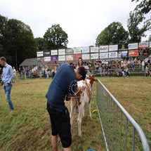 4t9a8222_resultaat-standard.jpg