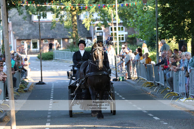 4t9a8222_resultaat-standard-jxihj2.jpg