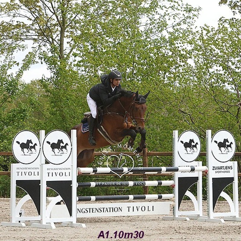4t9a8223_resultaat-bordermaker-standard.jpg