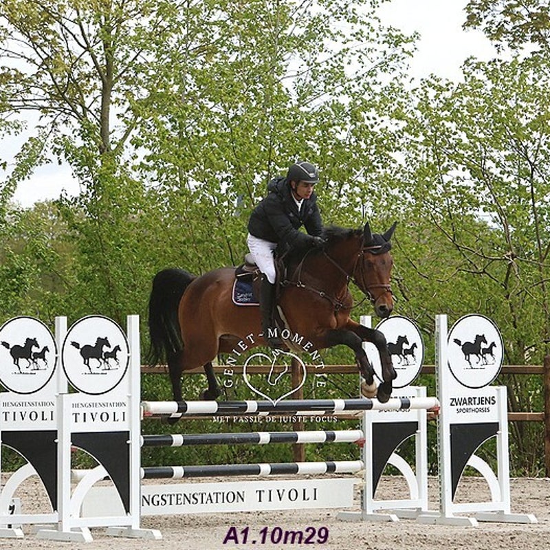 4t9a8224_resultaat-bordermaker-standard.jpg