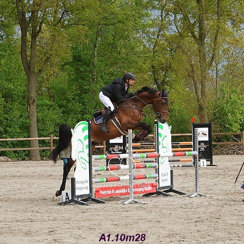 4t9a8225_resultaat-bordermaker-standard.jpg