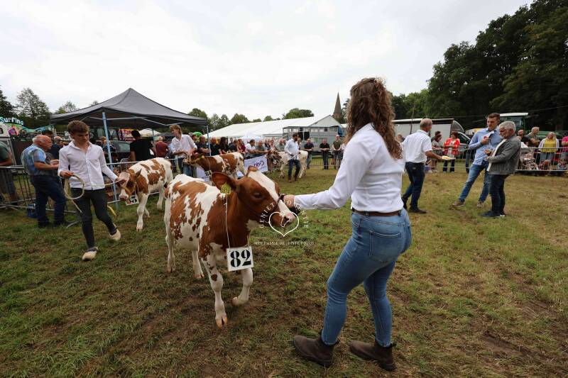 4t9a8226_resultaat-standard.jpg